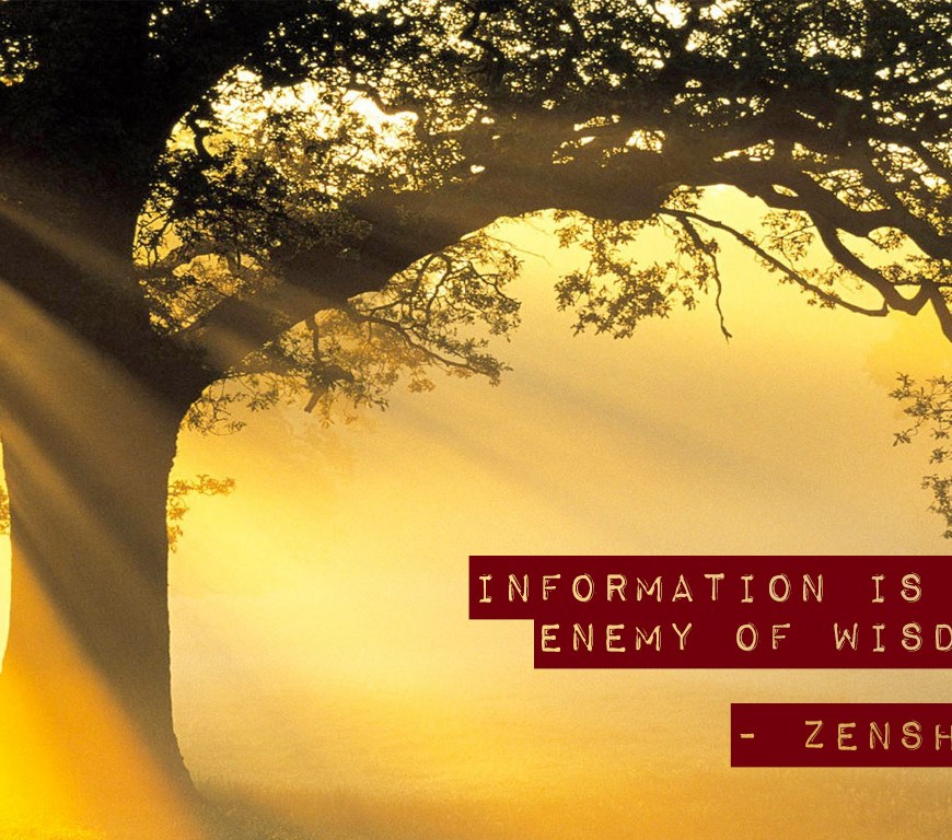 information is the enemy of wisdom