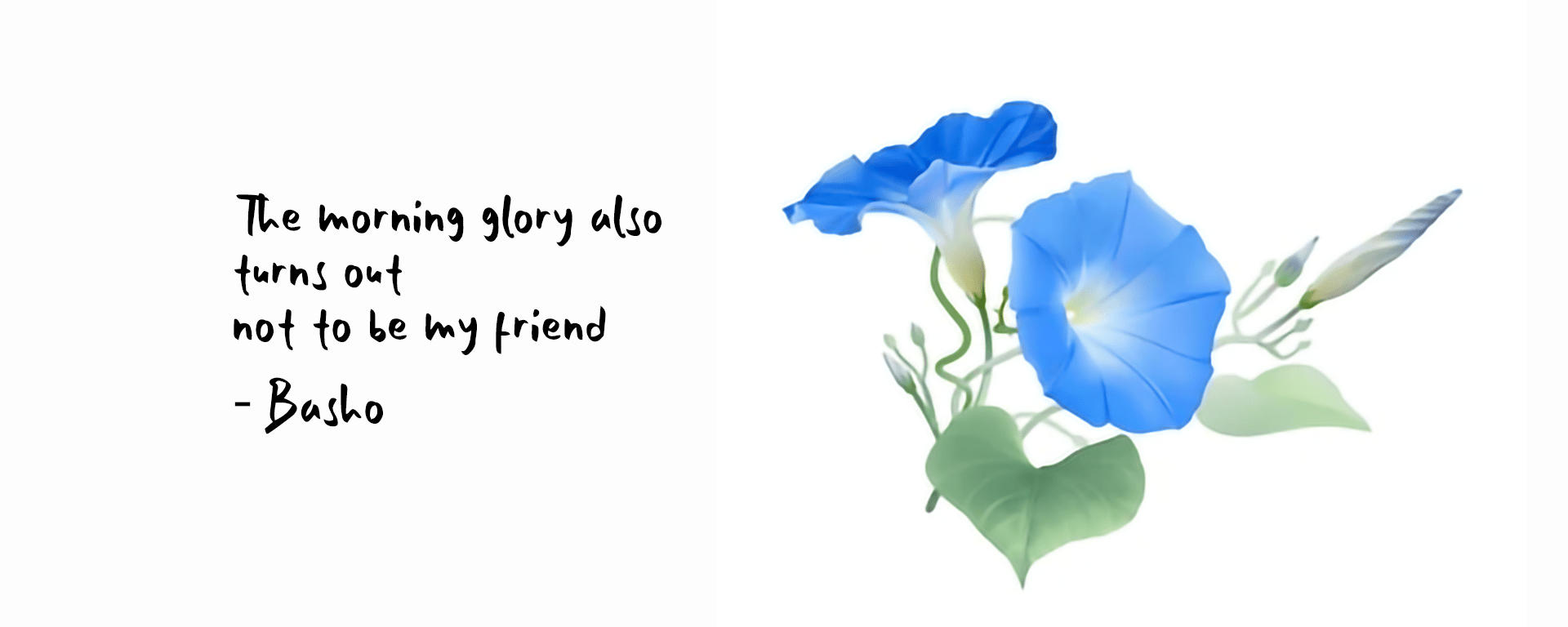 Morning-Glory-by-Basho