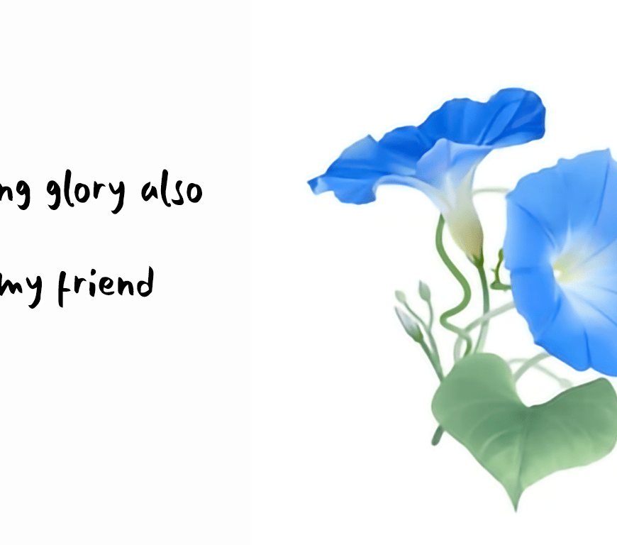 Morning-Glory-by-Basho