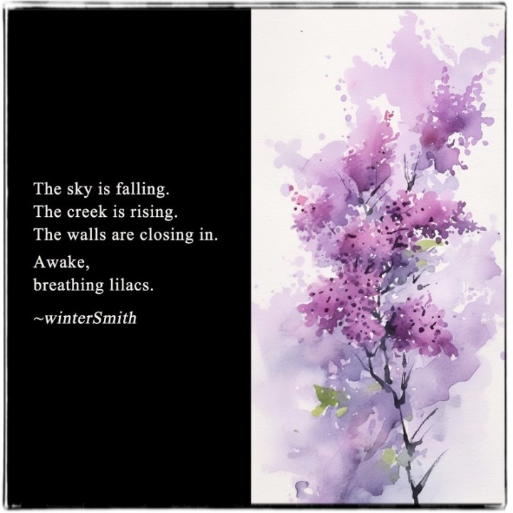 Daily Zen Meditation