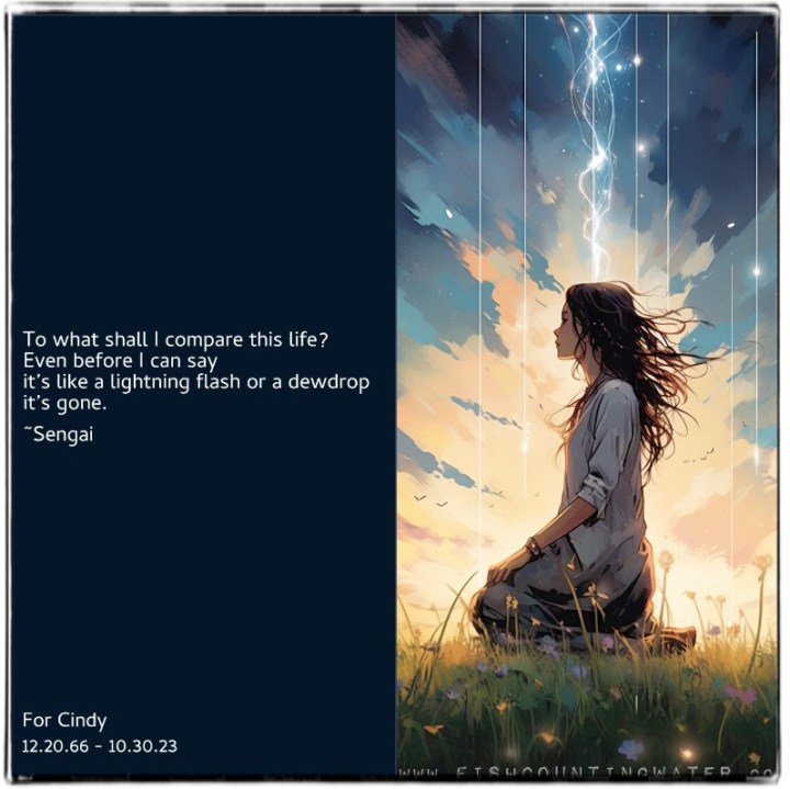 Daily Zen Meditation